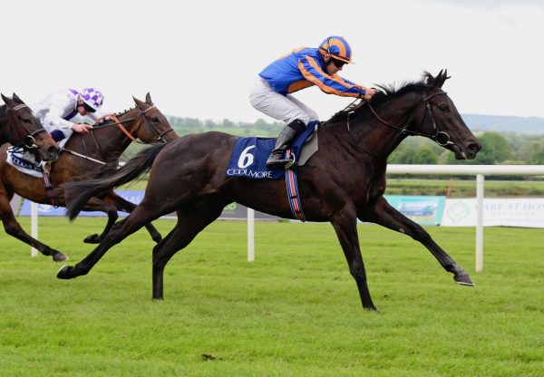 Meditate (No Nay Never) Wins The Group 3 Coolmore Stud Irish Ebf Fillies Sprint Stakes at Naas