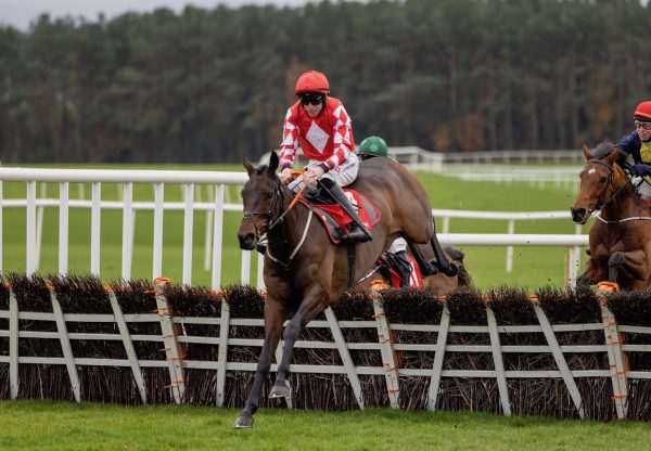 Mighty Bandit (Order Of St George) Impresses On Debut At Punchestown