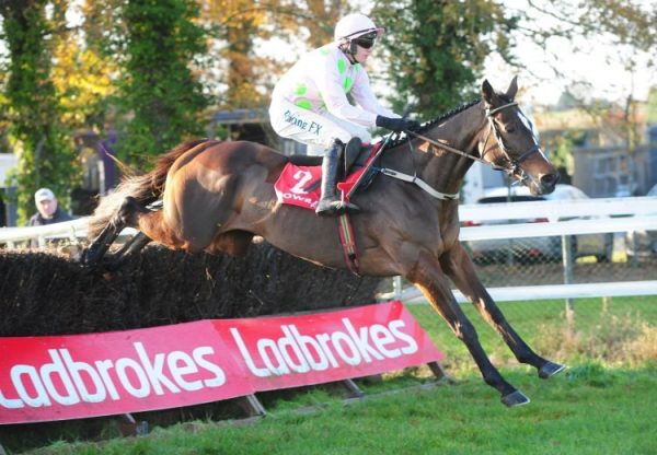 Min (Walk In The Park) winning a conditions chase at Gowran Park