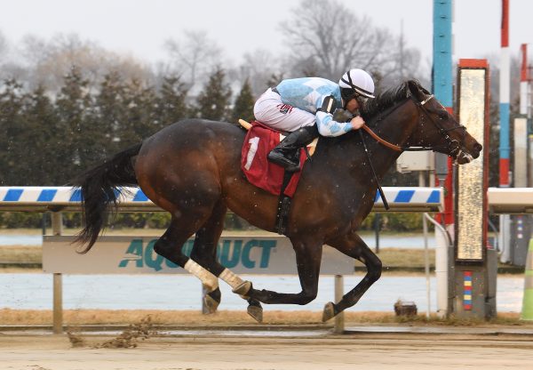 Modernist (Uncle Mo) Wins Aqueduct Maiden