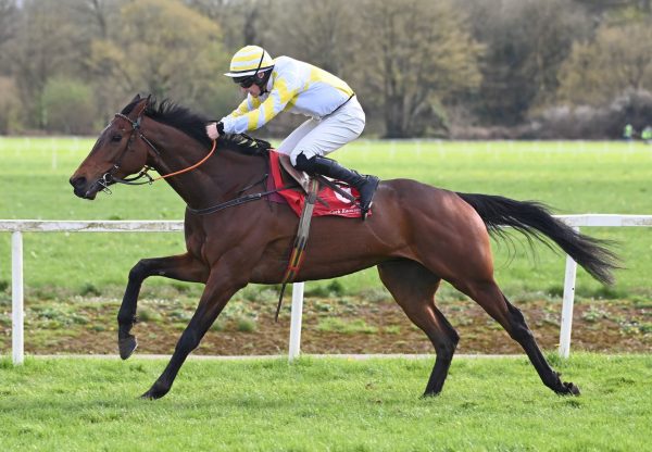 Monbeg Park (Walk In The Park) Wins Point To Point Flat Race At Cork