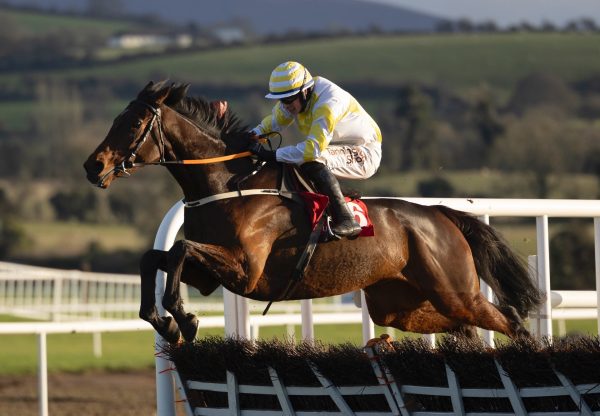 Monbeg Park (Walk In The Park) Wins The Maiden Hurdle At Punchestown
