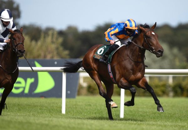 Monday (Fastnet Rock) Wins The Listed Ingabelle Stakes at Leopardstown
