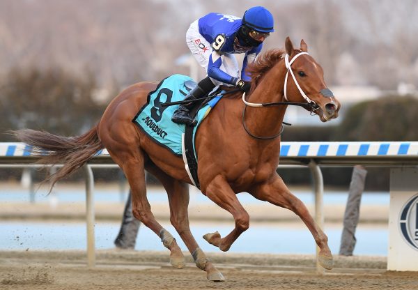 Morello (Classic Empire) winning the Gr.3 Gotham Stakes at Aqueduct