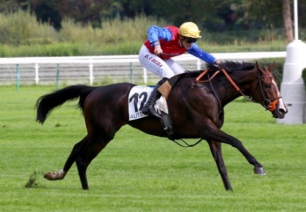 Motu Fareone (Getaway) Wins The Listed Chase At Auteuil