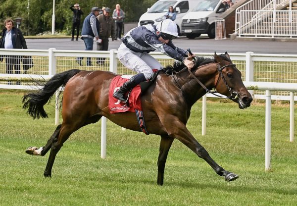 Mysteries (No Nay Never) Wins Her Maiden At Cork