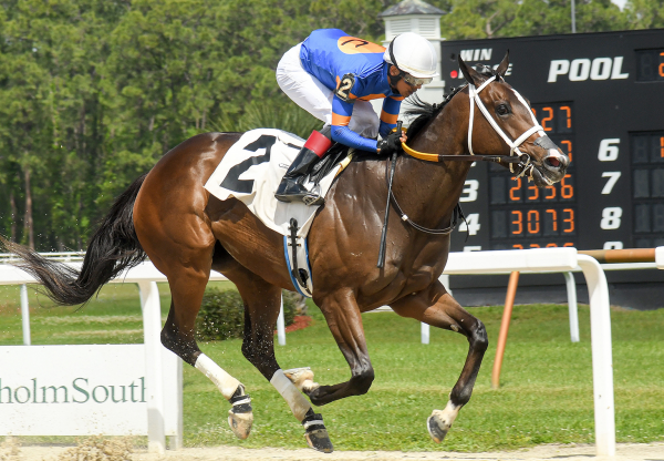 Mystic Lake (Mo Town) Wins Sophomore Fillies Stakes at Tampa Bay Downs