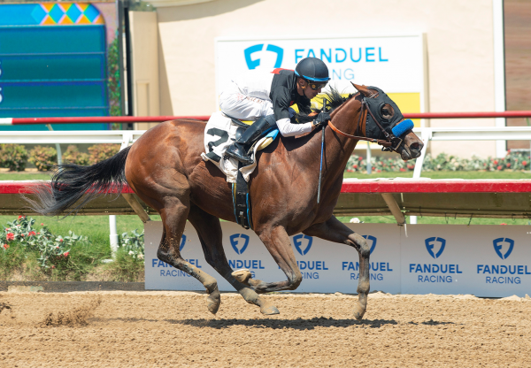 Non Compliant (Tiz The Law) Wins Del Mar Msw