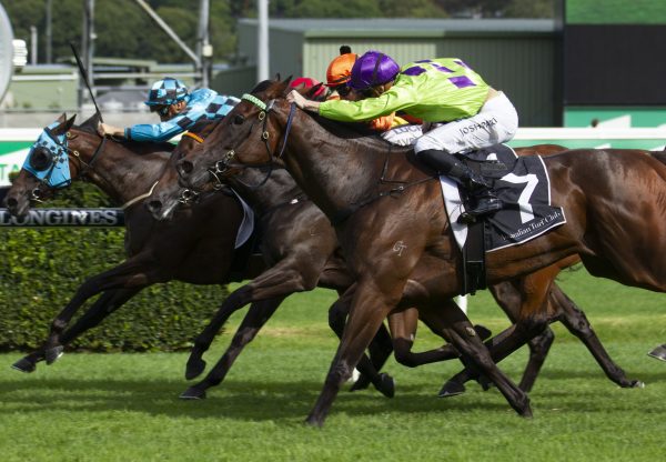 Nakeeta Jane (So You Think) winning the G1 Surround Stakes at Randwick