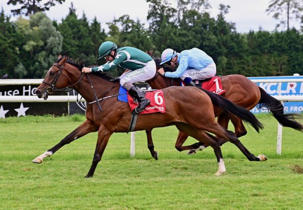 Nancy J Makes A Winning Debut At Gowran