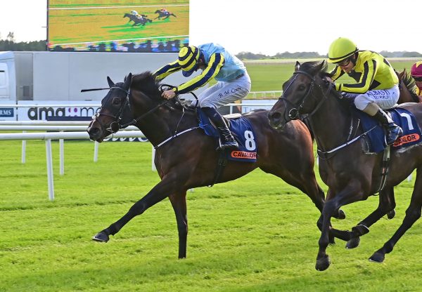 Navagio Wins His Maiden At The Curragh 1