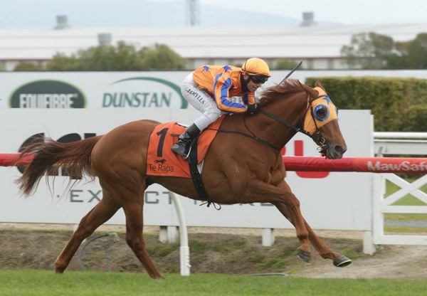 Need Is Say More (No Nay Never) wins the Gr.3 Northland Breeders Stakes at Te Rapa