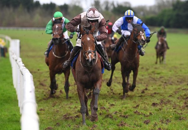 Neon Diamond (Westerner) Wins The Mares’ Bumper At Limerick