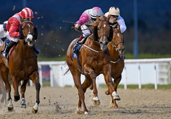 Never Cry Never (No Nay Never) Wins His Maiden At Dundalk