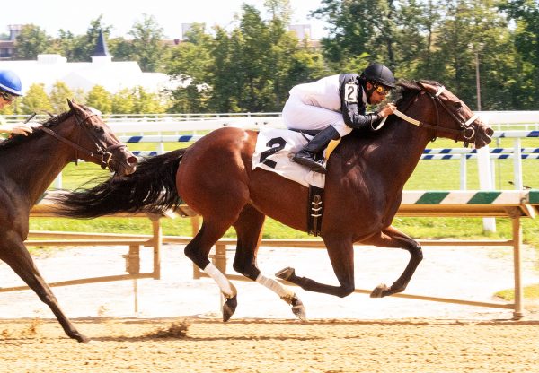 Never Enough Time (Munnings) Wins Listed Alma North Stakes at Laurel Park