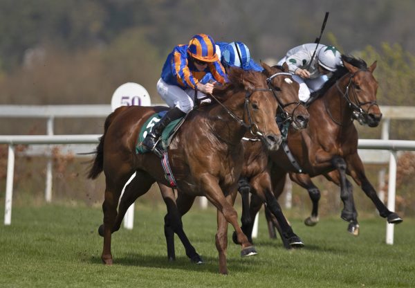 Never No More (No Nay Never) Lands The Guineas Trial at Leopardstown