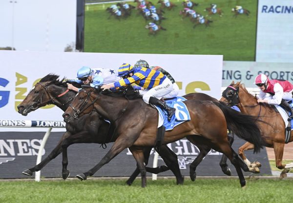 Nimalee (So You Think) winning the Gr.2 Golden Pendant at Rosehill
