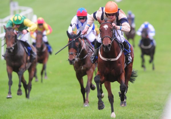 Northern Belle (Getaway) winning a bumper at Clonmel