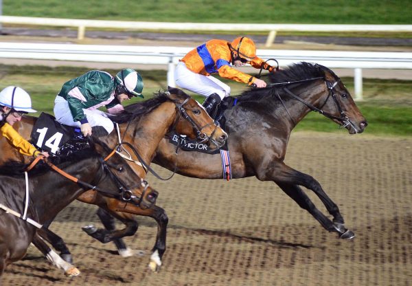 Numerian (Holy Roman Emperor) Wins His Maiden At Dundalk