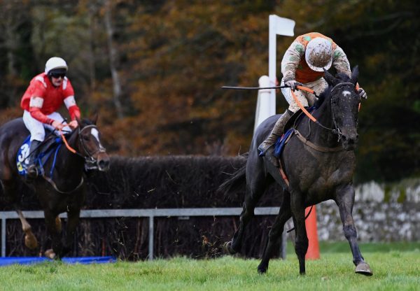 Obey The Order (Soldier Of Fortune) Wins The 4 Yo Maiden At Curraghmore