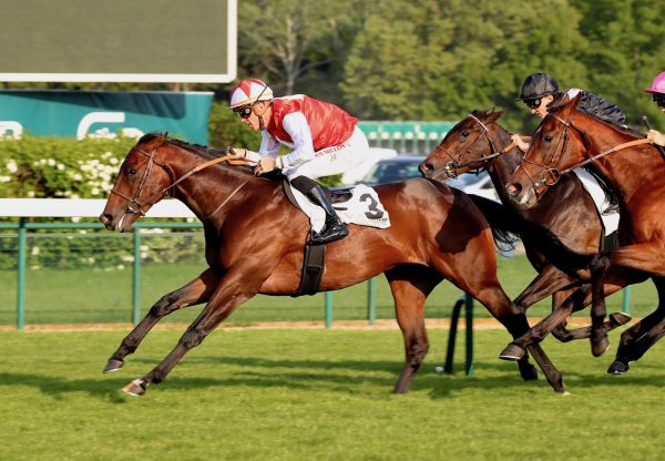 Ocean Vision (U S Navy Flag) Wins The Listed Prix De Pontarme at ParisLonchamp