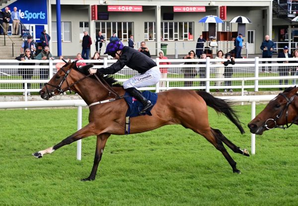 One Look (Gleneagles) Wins The Listed Vincent O’ Brien Ruby Stakes At Killarney