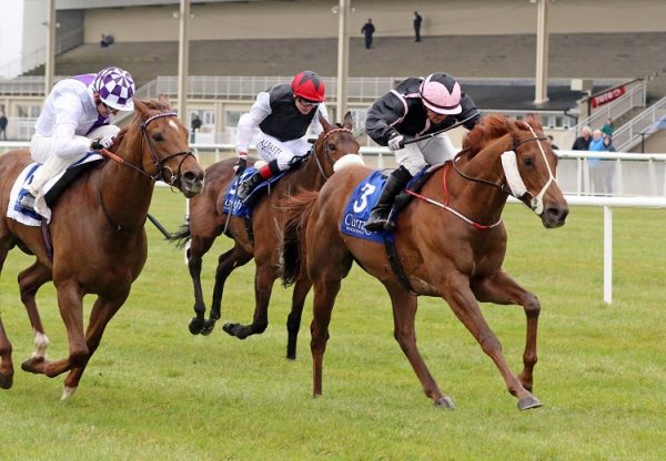 Onenightidreamed (Footstepsinthesand) winning the G3 Gladness Stakes at the Curragh