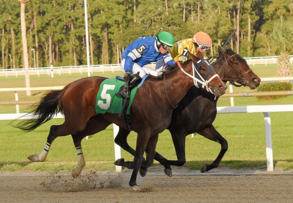 Opus Forty Two (Mendelssohn) winning the Gasparilla Stakes at Tampa Bay Downs