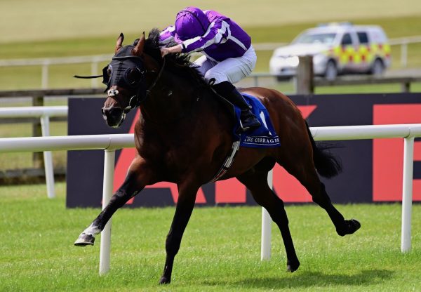 Order Of Australia (Australia) Wins His Second Group 2 Minstrel Stakes at the Curragh