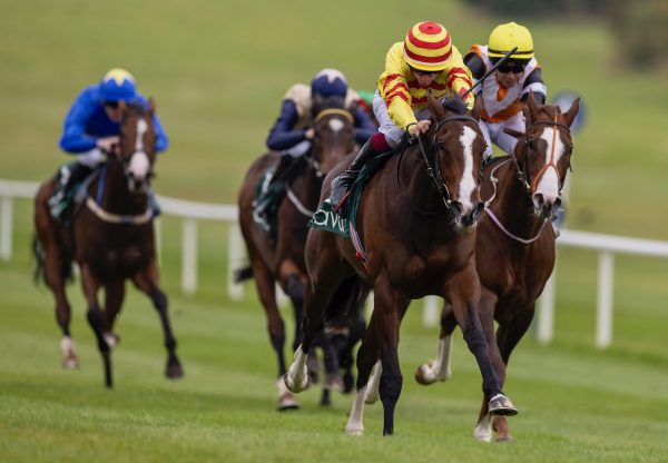 Oxford Rock (Starspangledbanner)  Wins His Maiden At Navan