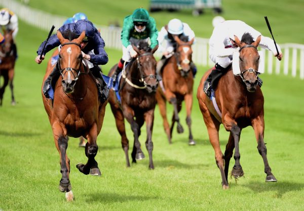 Passion (Galileo) Wins The Gr.3 Stanerra Stakes at Naas