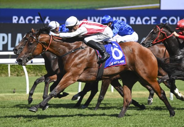 Passive Aggressive (Fastnet Rock) wins the Gr.2 Challenge Stakes at Randwick