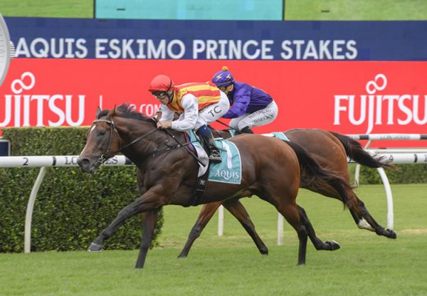 Peltzer (So You Think) winning the Gr.3 Eskimo Prince Stakes at Randwick