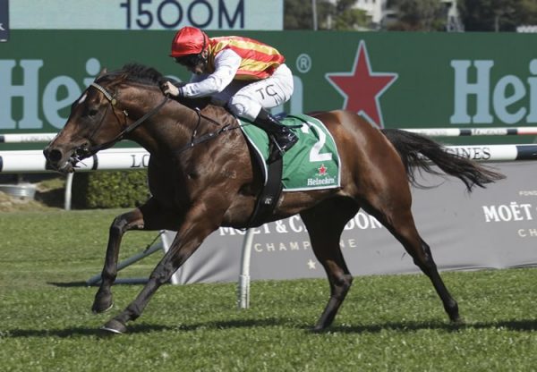 Peltzer (So You Think) wins the Gr.2 Stan Fox Stakes at Randwick