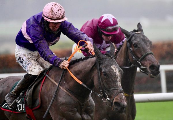 Percy Warner (Ocovango) Wins His Maiden Hurdle At Navan