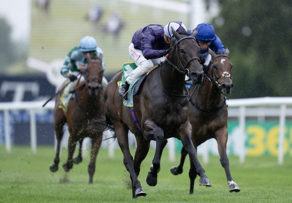 Persian Dreamer (Calyx) wins the G2  Duchess Of Cambridge Stakes at Newmarket