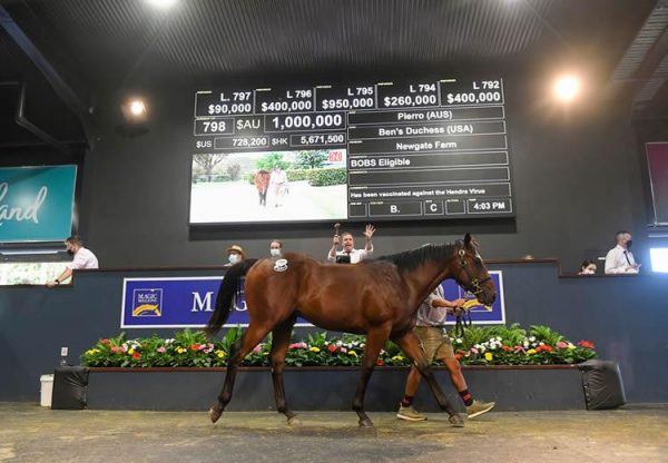 Pierro X Ben's Duchess yearling sells for $1 million at the Magic Millions
