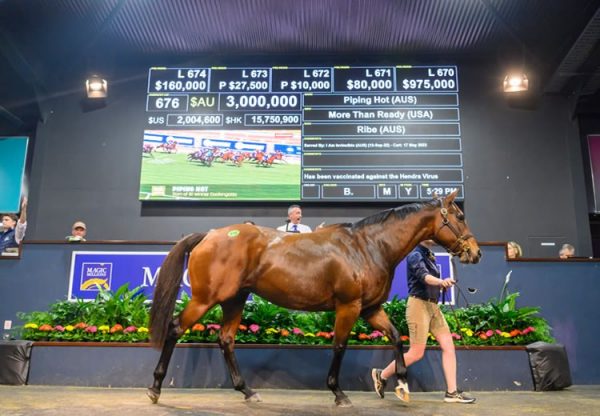 Piping Hot selling at Magic Million National Broodmare sale for $3 million