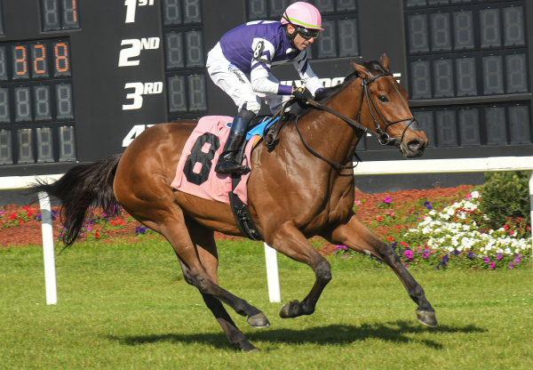 Play The Music (Mo Town) Wins Lightning City Stakes at Tampa Bay Downs