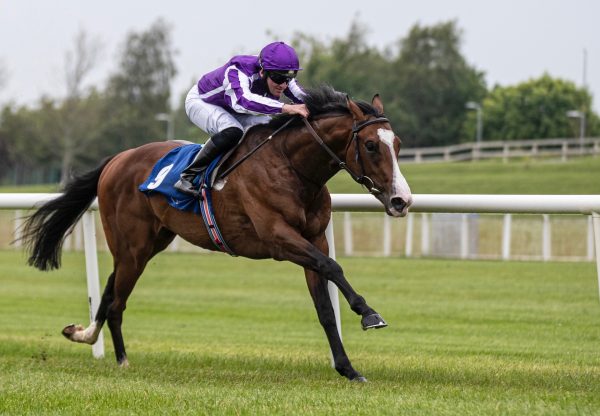 Point Lonsdale (Australia) Wins On Debut At The Curragh