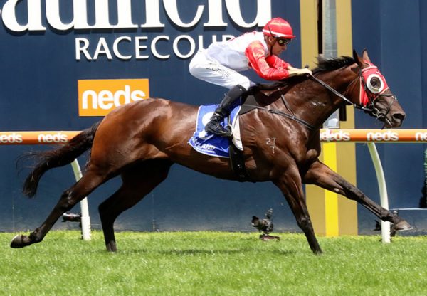 Poland (So You Think) wins the Gr.2 Autumns Stakes at Caulfield