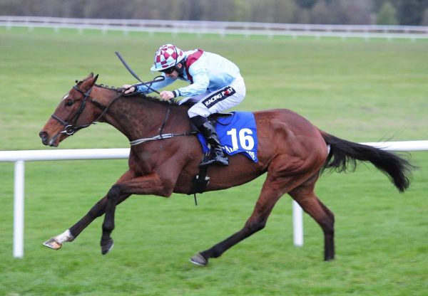 Pont Aval (Soldier Of Fortune) Wins At Ballinrobe