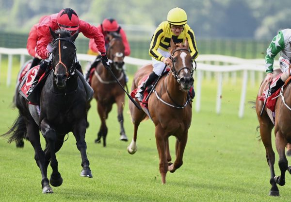 Powerful Nation (Sioux Nation) Wins His Maiden At Cork