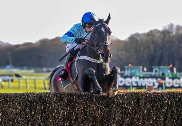 Precious Cargo (Yeats) Wins On Chase Debut at Haydock