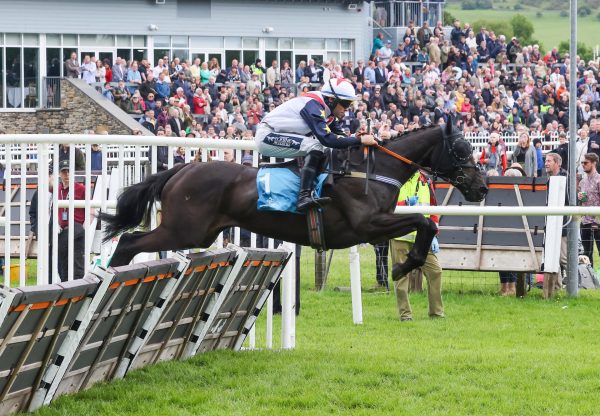 Prime Time Lady (Westerner) Wins The Mares Novices Hurdle At Cartmel
