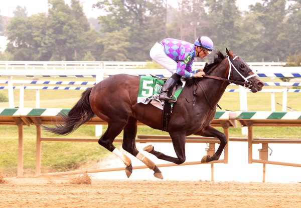 Prince Of Jericho (Munnings) Wins Concern Stakes at Laurel Park