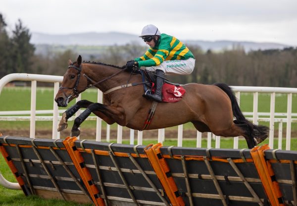 Pure Steel Wins The Maiden Hurdle At Cork