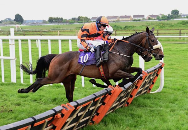 Quaker Island (Yeats) Wins The Maiden Hurdle At Wexford