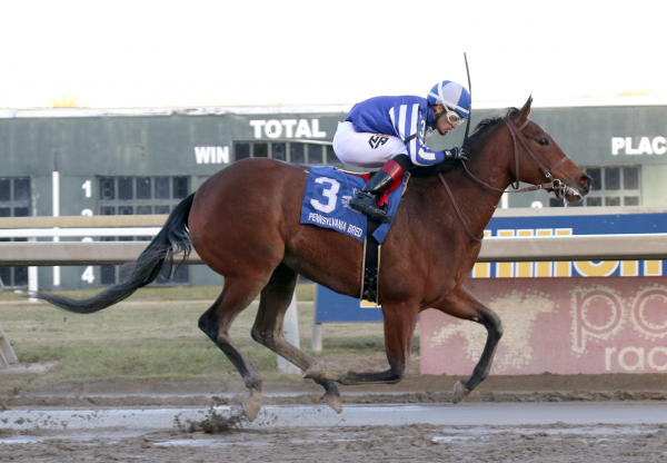 Quercus (Tiz The Law) Wins Parx Msw