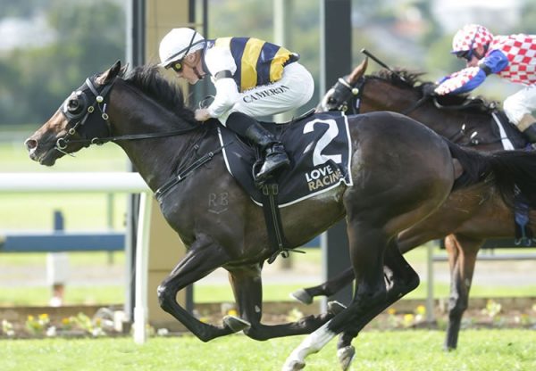 Quick Thinker (So You Think) winning the Listed Champagne Stakes at Ellerslie